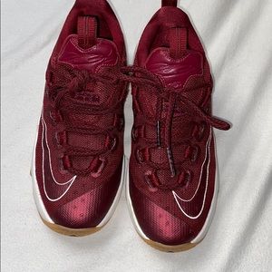 Nike Lebron James shoes